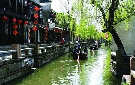 浙江省作家协会副主席沈苇:对浙江文学有何期待